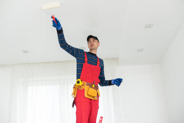 Best Mold Documentation for Insurance Claims  in Delevan, NY