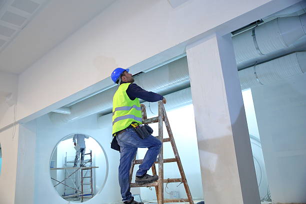 Professional Mold Removal in Delevan, NY