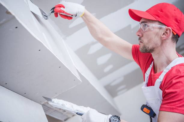 Mold Remediation for Rental Properties in Delevan, NY